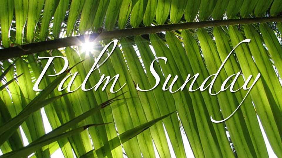 Palm & Passion Sunday